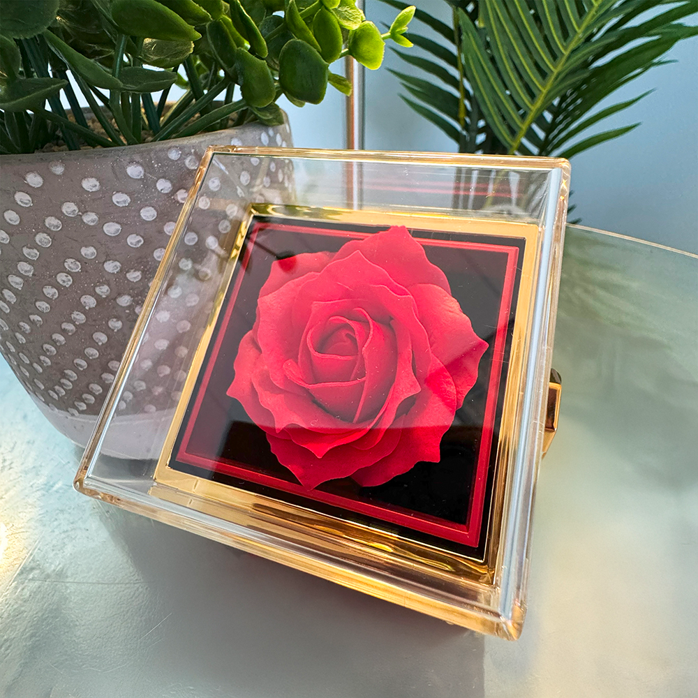 Forever & Always – Love Knot Necklace with Eternal Rose Box
